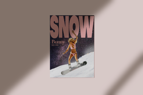 Snow Bunny Poster